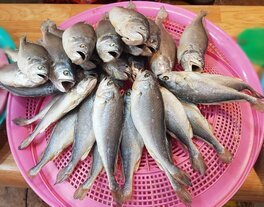 간판