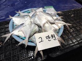 간판