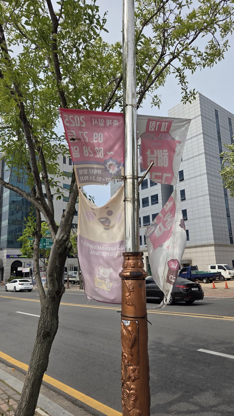 신천지 교회앞도로