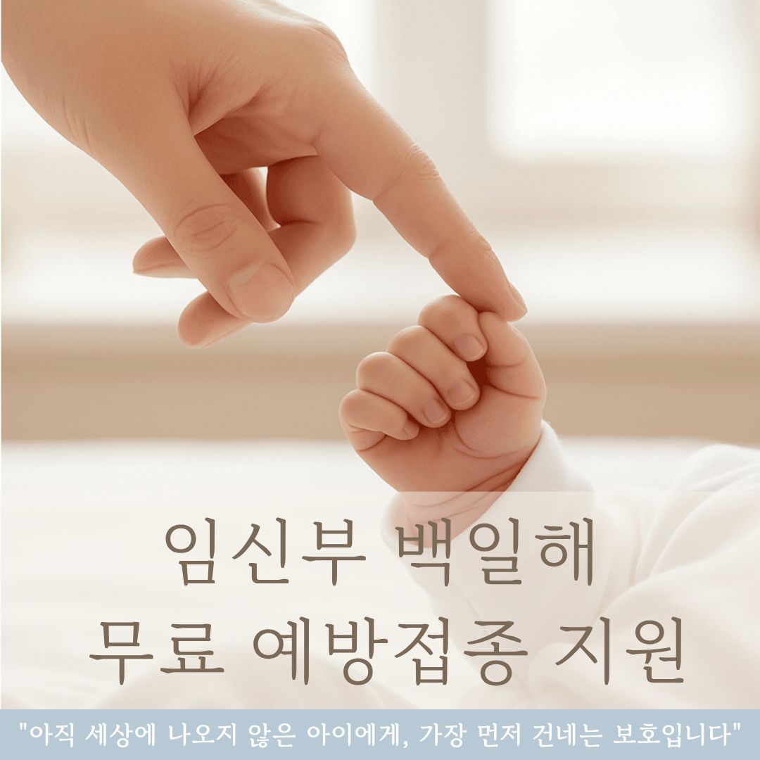 임신부 백일해 무료 예방 접종 지원, 아직 세상에 나오지 않은 아이에게, 가장 먼저 건네는 보호입니다.