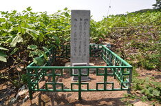 육지면발상비